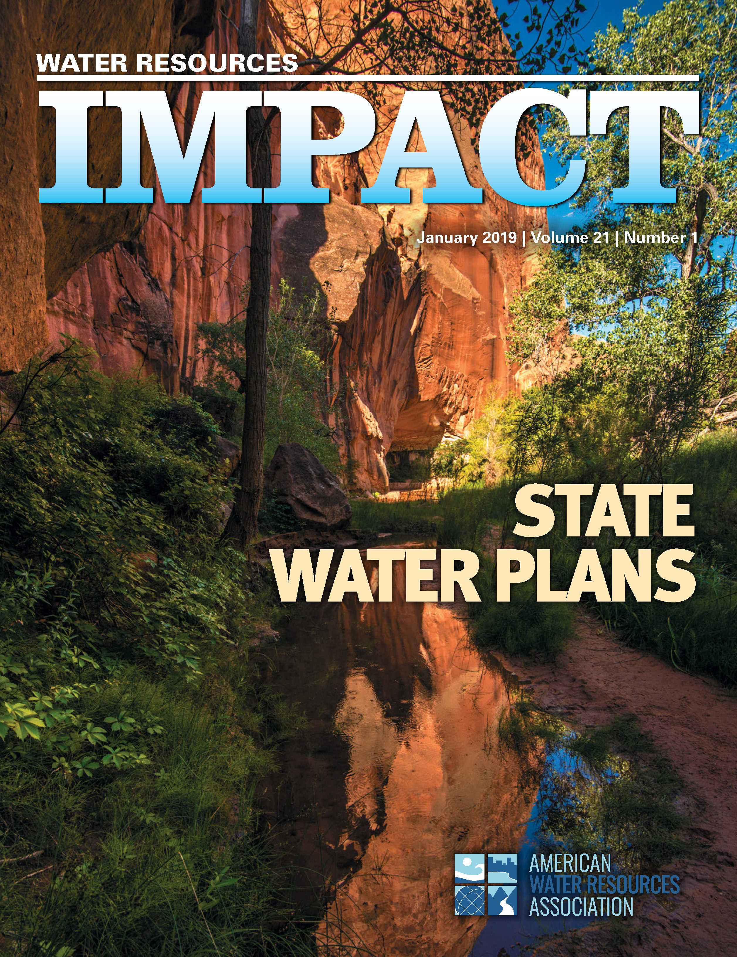 Water Resources IMPACT January 2019